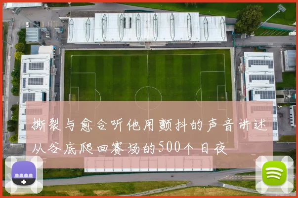 撕裂与愈合听他用颤抖的声音讲述从谷底爬回赛场的500个日夜